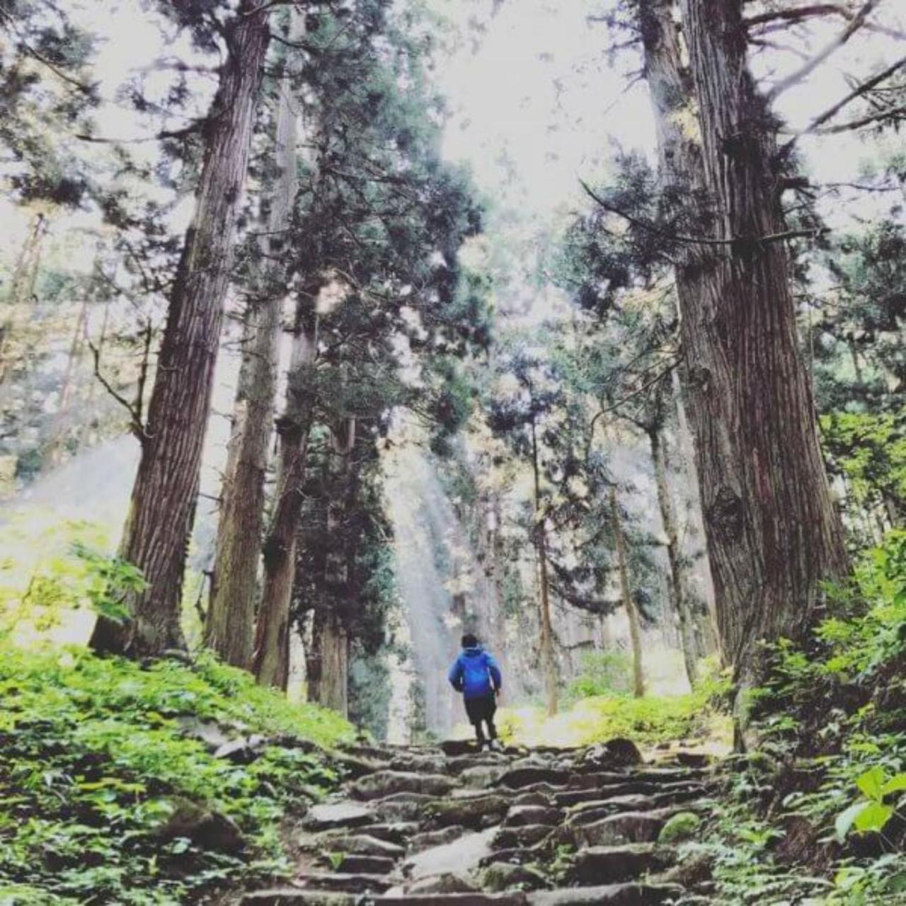 Lodge Nagano Nozawaonsen Buitenkant foto